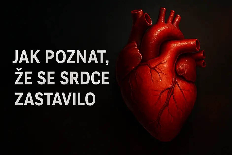 Jak poznat, že se srdce zastavilo.