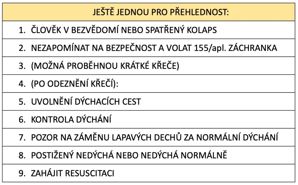 Postup při zástavě dýchání.